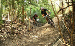 mountain biking