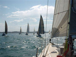 lake macquarie races 